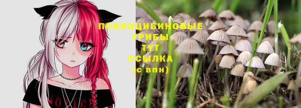 гашик Баксан