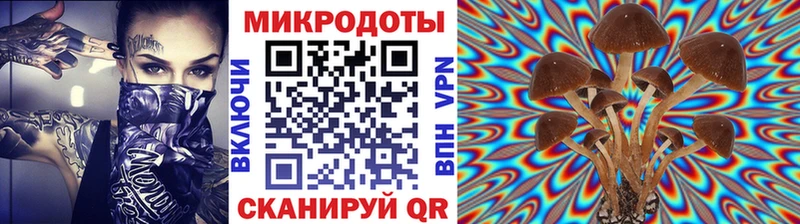 Галлюциногенные грибы Psilocybe  кракен онион  Ладушкин 