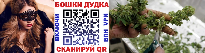 Конопля семена Ладушкин